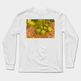 ala mango Long Sleeve T-Shirt